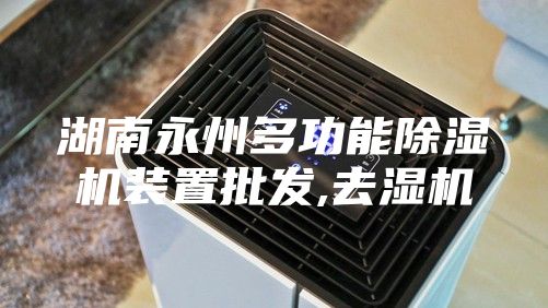 湖南永州多功能除湿机装置批发,去湿机