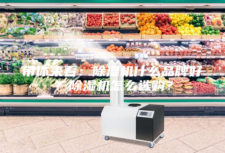 带你来看：除湿机什么品牌好？除湿机怎么选购？