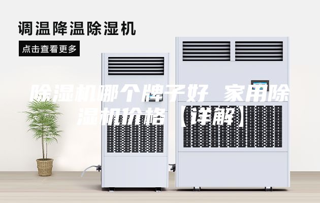 除湿机哪个牌子好 家用除湿机价格【详解】
