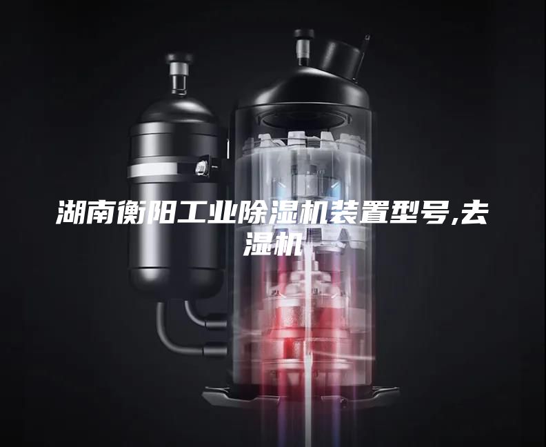 湖南衡阳工业除湿机装置型号,去湿机