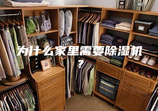 为什么家里需要除湿机？