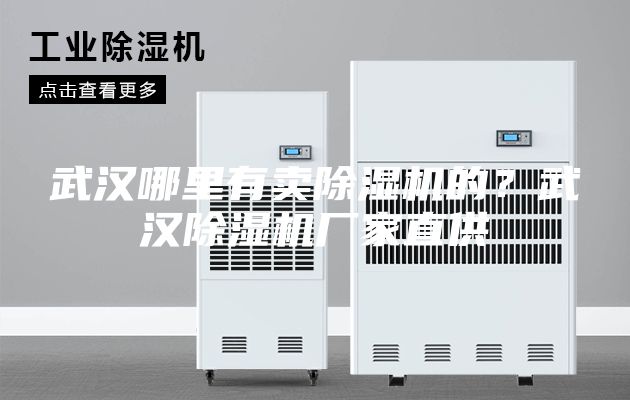 武汉哪里有卖除湿机的？武汉除湿机厂家直供