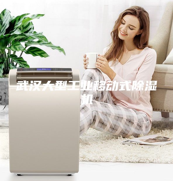 武汉大型工业移动式除湿机