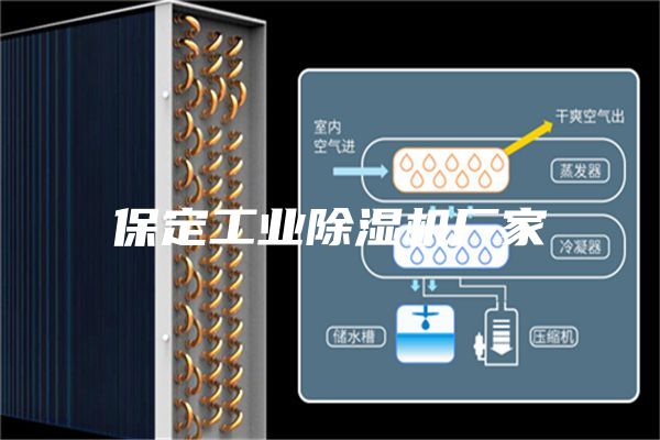 保定工业除湿机厂家