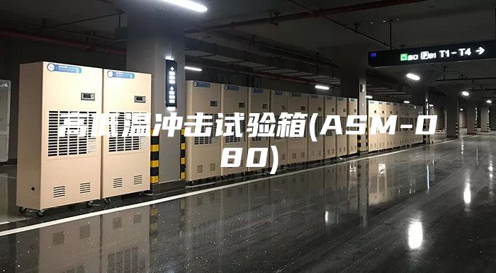 高低温冲击试验箱(ASM-080)