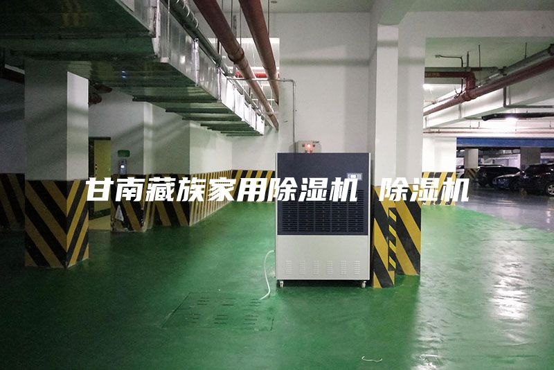 甘南藏族家用除湿机 除湿机