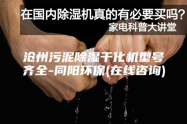沧州污泥除湿干化机型号齐全-同阳环保(在线咨询)