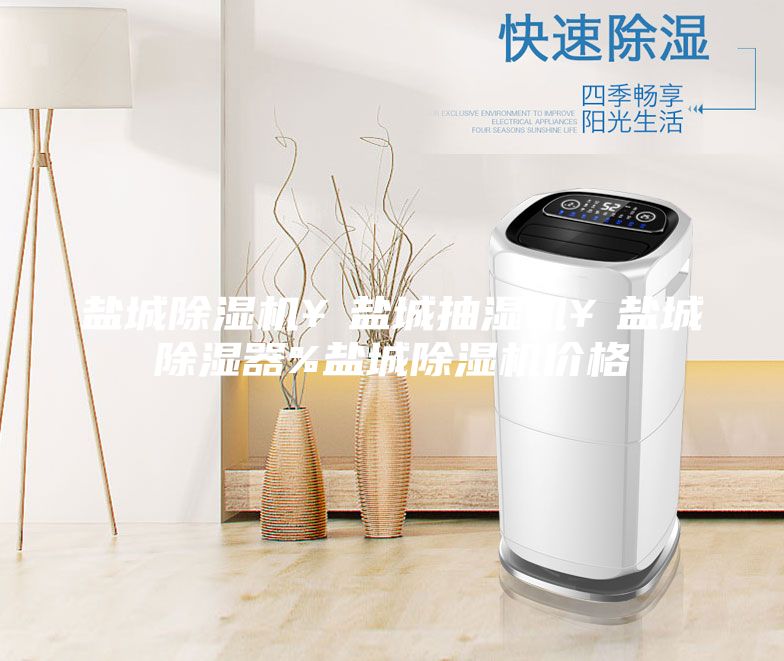 盐城除湿机￥盐城抽湿机￥盐城除湿器%盐城除湿机价格
