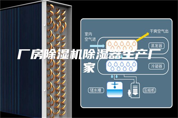 厂房除湿机除湿器生产厂家