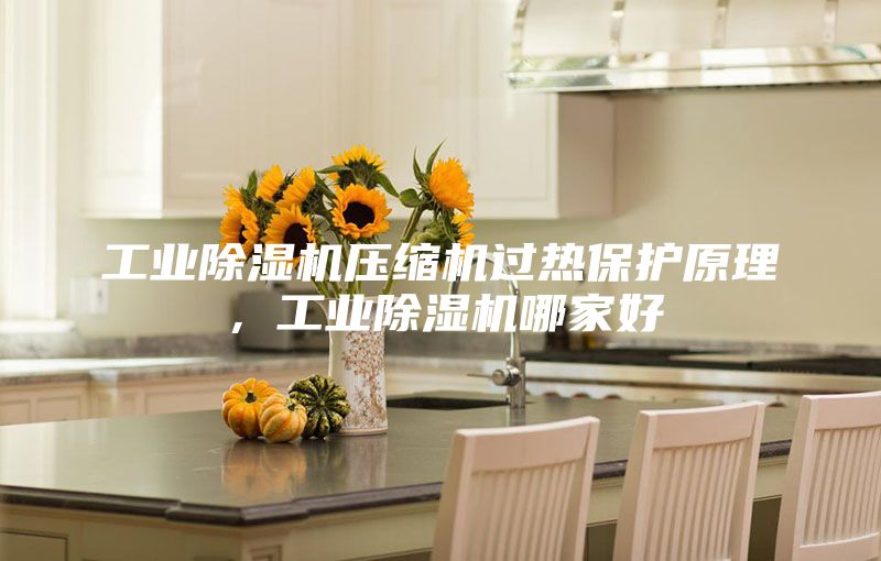 工业除湿机压缩机过热保护原理，工业除湿机哪家好