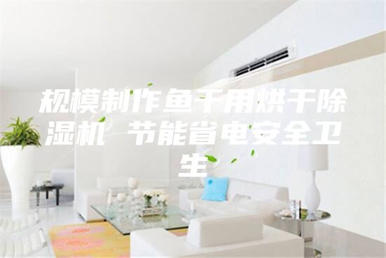 规模制作鱼干用烘干除湿机 节能省电安全卫生