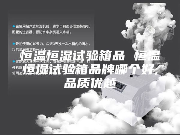 恒温恒湿试验箱品 恒温恒湿试验箱品牌哪个好,品质优越