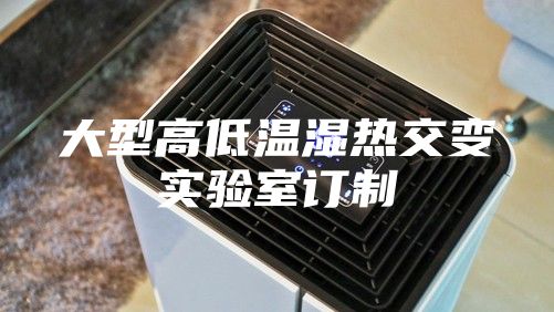 大型高低温湿热交变实验室订制
