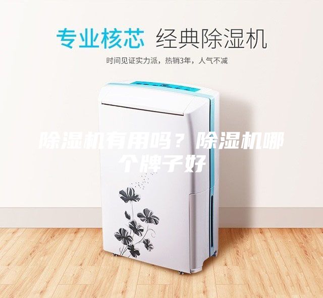 除湿机有用吗？除湿机哪个牌子好