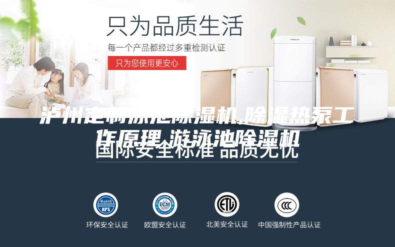 泸州定制泳池除湿机,除湿热泵工作原理,游泳池除湿机