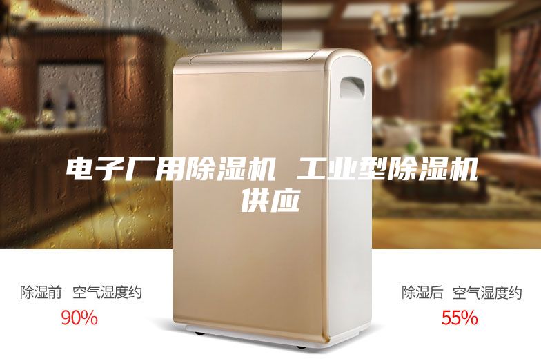 电子厂用除湿机 工业型除湿机供应
