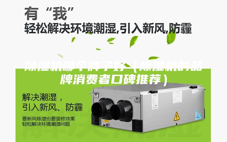 除湿机哪个牌子好（除湿机的品牌消费者口碑推荐）