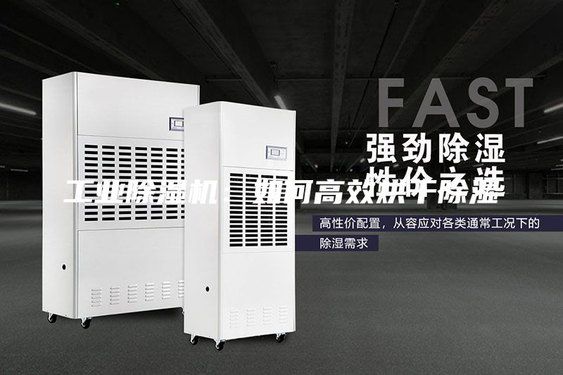 工业除湿机：如何高效烘干除湿