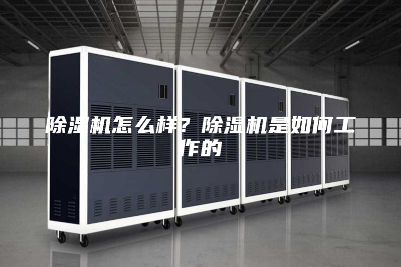 除湿机怎么样？除湿机是如何工作的
