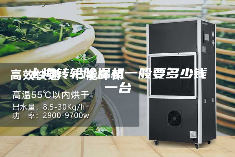 上海转轮除湿机一般要多少钱一台