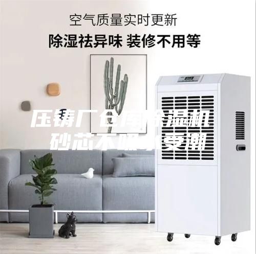 压铸厂仓库除湿机 砂芯不吸水受潮