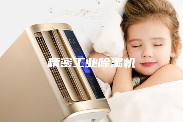 精密工业除湿机