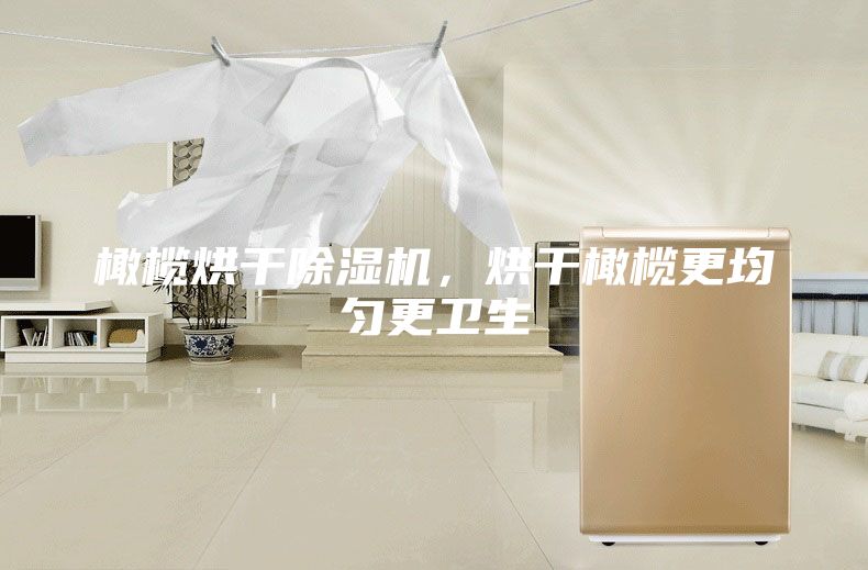 橄榄烘干除湿机，烘干橄榄更均匀更卫生