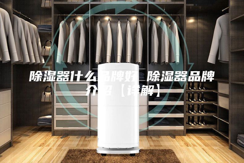 除湿器什么品牌好 除湿器品牌介绍【详解】