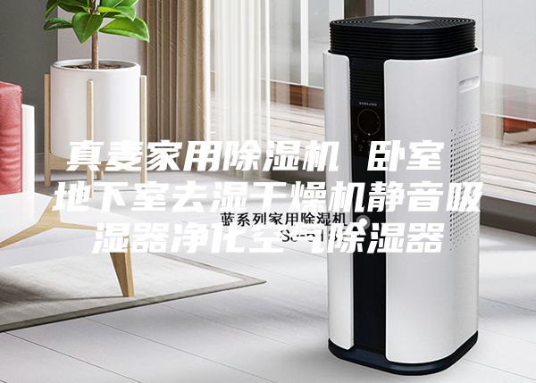 真麦家用除湿机 卧室 地下室去湿干燥机静音吸湿器净化空气除湿器