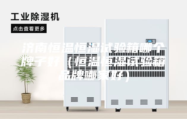 济南恒温恒湿试验箱哪个牌子好（恒温恒湿试验箱品牌哪家好）