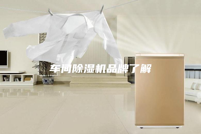 车间除湿机品牌了解
