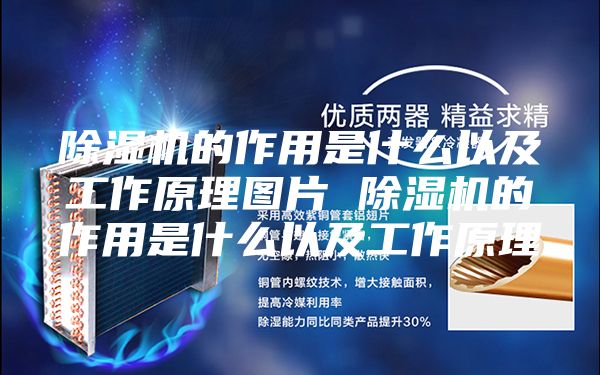 除湿机的作用是什么以及工作原理图片 除湿机的作用是什么以及工作原理