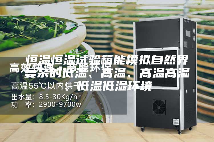 恒温恒湿试验箱能模拟自然界复杂的低温、高温、高温高湿、低温低湿环境