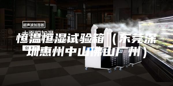 恒温恒湿试验箱（东莞深圳惠州中山佛山广州）