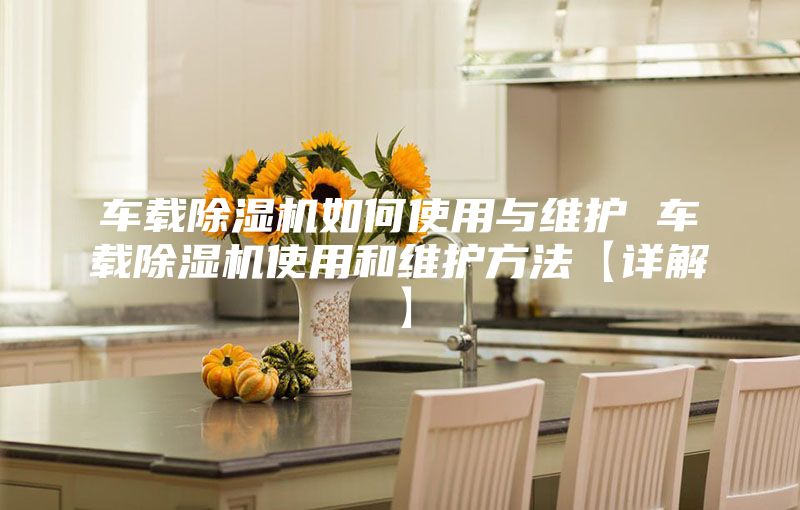 车载除湿机如何使用与维护 车载除湿机使用和维护方法【详解】