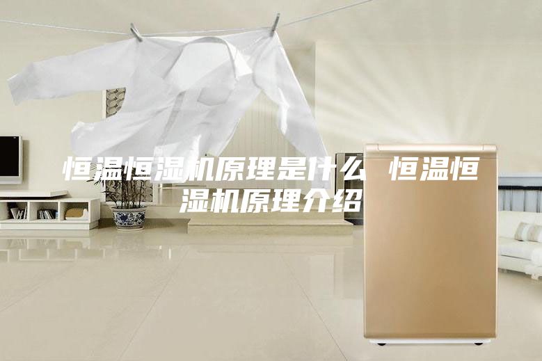 恒温恒湿机原理是什么 恒温恒湿机原理介绍