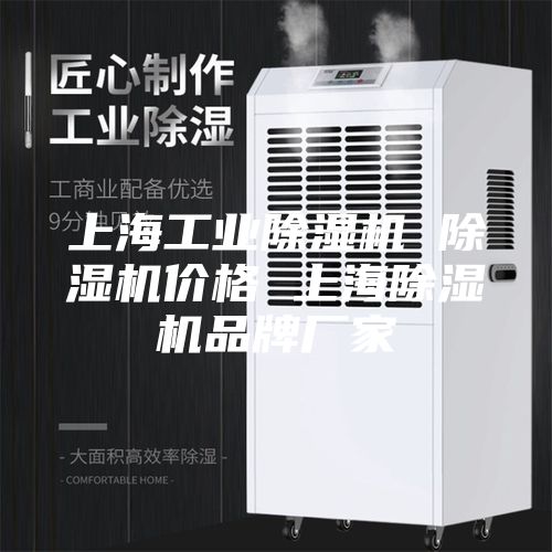 上海工业除湿机 除湿机价格 上海除湿机品牌厂家