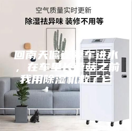回南天偏逢爱车进水，在车里长蘑菇之前我用除湿机救了它