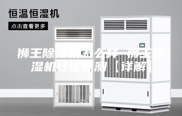 狮王除湿机怎么样 狮王除湿机性能评测【详解】