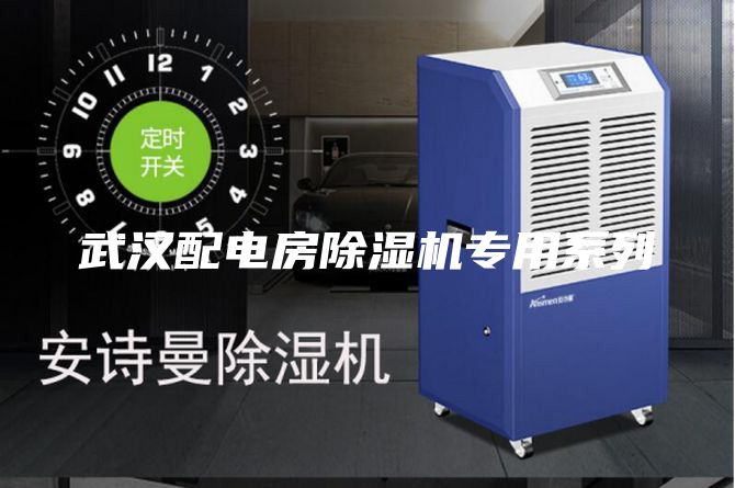 武汉配电房除湿机专用系列