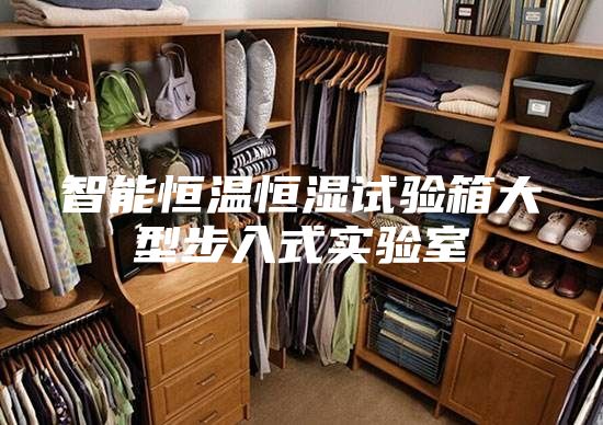 智能恒温恒湿试验箱大型步入式实验室