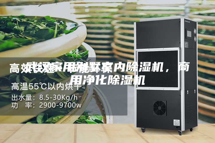武汉家用别墅室内除湿机，商用净化除湿机