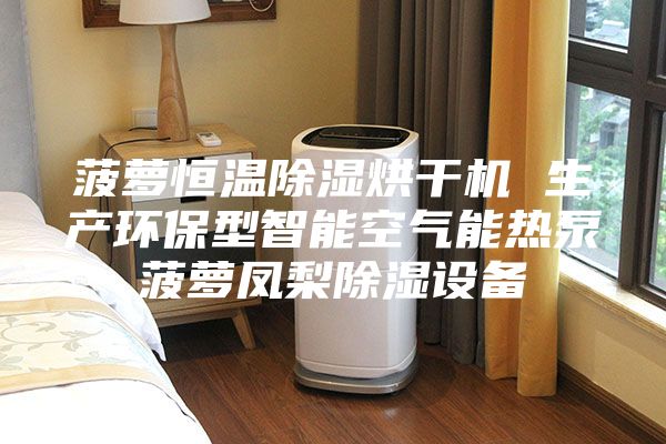 菠萝恒温除湿烘干机 生产环保型智能空气能热泵菠萝凤梨除湿设备