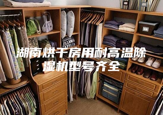 湖南烘干房用耐高温除湿机型号齐全