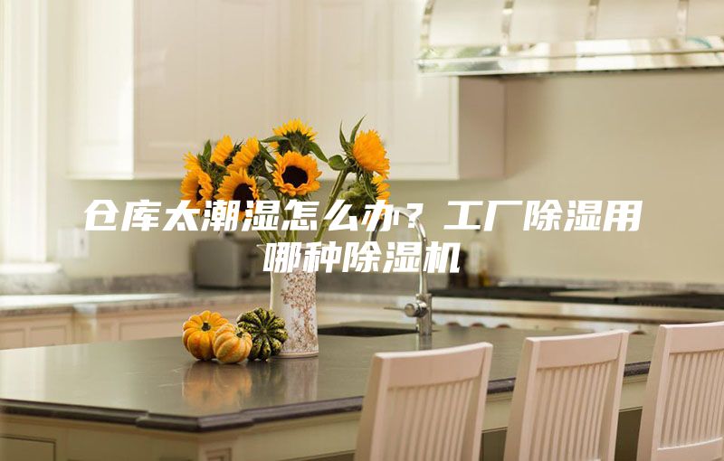 仓库太潮湿怎么办？工厂除湿用哪种除湿机