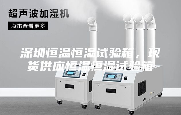 深圳恒温恒湿试验箱，现货供应恒温恒湿试验箱
