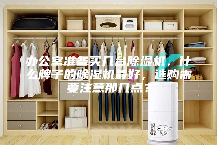 办公室准备买几台除湿机，什么牌子的除湿机最好，选购需要注意那几点？