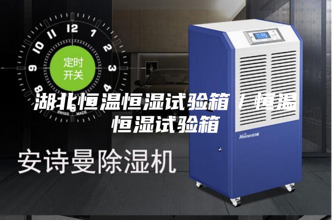 湖北恒温恒湿试验箱／恒温恒湿试验箱