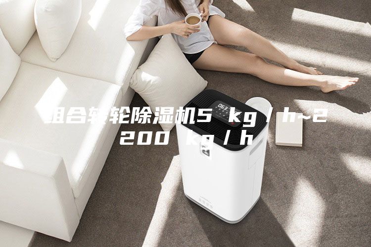 组合转轮除湿机5 kg／h~2200 kg／h