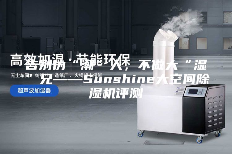 告别伪“潮”人，不做大“湿”兄——Sunshine大空间除湿机评测